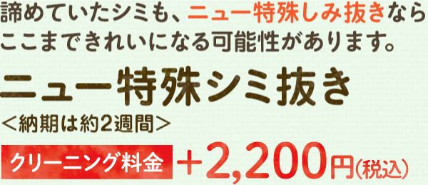 エンパイアーワイシャツ回数券　2 衣類のクリーニング｜クリーニングのエンパイアー | 札幌市